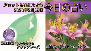 【今日の占い】2020年2月18日の占い【タロット＆花札】