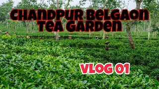 Chandpur Belgaon Tea Garden || Baskhali || Chittagong || Bangladesh || Vlog 01 || AZM RAHAT