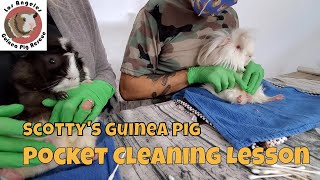 Saskia Teaches Male Guinea Pig Pocket Cleaning Technique to Scotty