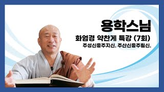 용학스님 - 화엄경 약찬게 특강 (7회). 주성신중주지신. 주산신중주림신.