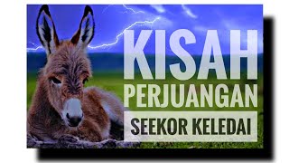 KISAH PERJUANGAN SEEKOR KELEDAI || motivasi hidup  @CerpenNetizen