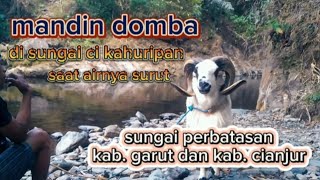 SUNGAI CIKAHURIPAN MULAI SURUT pebatasan garut \u0026 cianjur