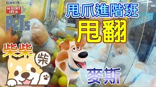 絕招!! 甩爪進階班 - [ 甩翻 ] 影片亮點是觀眾XD   柴犬與麥斯 寵物當家 The Secret Life of Pets MAX - 夾娃娃技巧