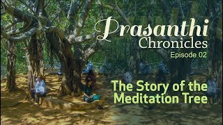 The Story of The Meditation Tree at Puttaparthi - Prasanthi Chronicles - 02