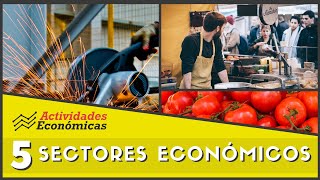 Los 5 sectores económicos -Economía (Ejemplos y características)