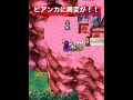 ［ドラクエ5 ］グランバニアへの山中ビアンカ体調不良で倒れる！※ネタバレ有り dragon quest 5