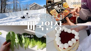 ENG) 미국일상 VLOG | 뒷마당 눈썰매장 개장 | 에어로가든 상추 | 박사과정 디펜스 끝 | 소소한 뉴욕 주부 일상 브이로그 | 🇰🇷 Korean Mom in US 🇺🇸