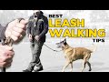 The Best Leash Walking Tips