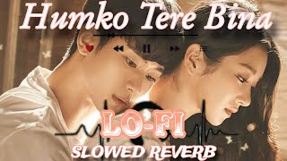 Humko Tere Bina Jeena Toh Sikha (Slowed + Reverb) | Lo-Fi Remix | New Song Lyrics