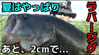 バス釣り　狭い水路でデカイバス！あと２ｃｍで・・・