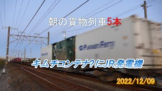 静岡県西部JR貨物記 踏切爆走朝の貨物列車5本 東海道本線 2022/12/09