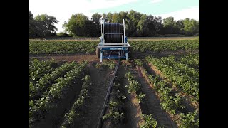 Idrofoglia Irrigation System - Corporate Video