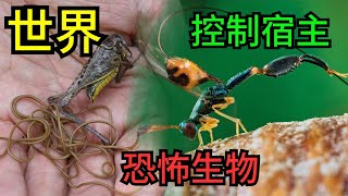 寄生獨裁者：10類控制宿主的生物！首個能將宿主變爲僵屍#世界#國家#萬物#建築#高鐵#世界各地#鳥#世界各地#不同物體#自然#排名