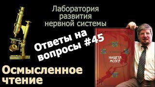 Осмысленное чтение