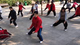 Taichi Practice in the Kowloon Park, Hong Kong