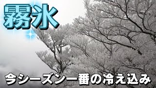 「16の観測地点のうち10か所で今シーズン一番の冷え込み『霧氷』が山を白く染める」2024/11/25放送