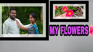 সপোন বাস্তৱ হোৱাৰ সুখ /My Flowers