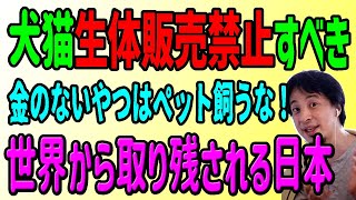 犬猫の生体販売禁止は世界の常識！遅れている日本。お金がない奴がペットを飼ってはいけない理由。ひろゆき切り抜き動画