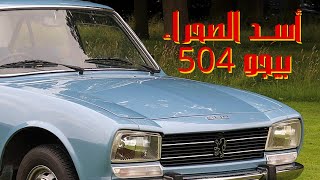 بيجو 504 اسد الصحراء