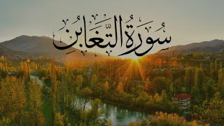 Surah At-Taghabun Heart ❤️Soothing Quran #surahtagabun #quranbysz  سورة التغابن