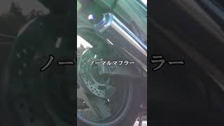 実はまだ安い250ccバイクがこちら💁‍♂️#モトブロガー #バイク紹介 #排気音 #zzr250