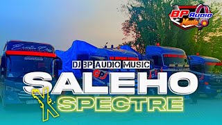 DJ BP AUDIO MUSIC | SALEHO X SPECTRE | BAS HOREG ‼️ PARTY NROTOK