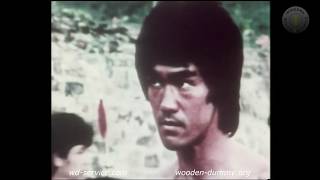 Bruce Lee Legendary Master Rare