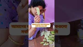 আমাদের বাগান থেকে অনেকগুলো সবজি নিয়ে যাচ্ছে মাসি#Sylhetivlog #বাংলাভিডিও #ভাইরাল #সিলেটি #reel