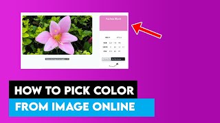 Image Color Picker: How to Pick Color From Image (Online)