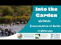 Into the Garden: Bioaccumulation of Metals in Waterways