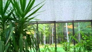 12x20 Glass Greenhouse with Aluminet Shade Cloth | Arcadia GlassHouse