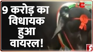 9 करोड़ का विधायक हुआ वायरल! Meerut Buffalo Video Viral | Price | Latest Update | Hindi News