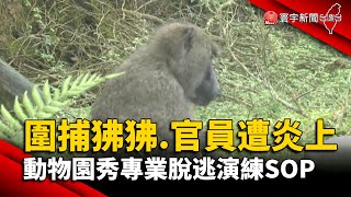 【財經晚報】圍捕狒狒...官員遭炎上！ 動物園秀專業脫逃演練SOP - 董覲僑 2023.03.2９