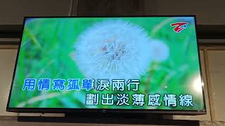 八字命~伴唱Fm