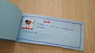 Insects scrapbook