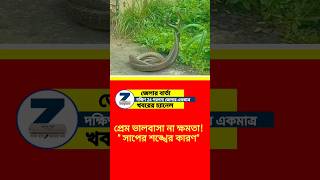 সাপের শঙ্খ!Snake conch #shorts