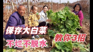 白菜冬天不好保存？教你3个好办法，不烂不脱水，放到春天也新鲜