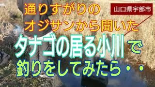 通りすがりのオジサンから聞いた小川でタナゴを探してみたら・・