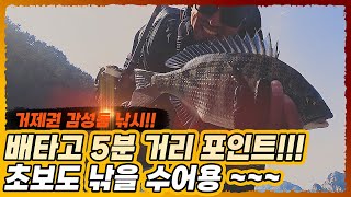 배타고 5분거리! 거제도 대포권 갯바위 감성돔낚시