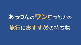 株式会社犬旅のあっつんがワンちゃんとの旅行におすすめの持ち物をご紹介