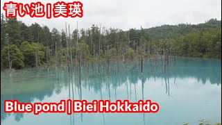 北海道美瑛神秘的な青い池 一度は見たい絶景 Hokkaido Biei mysterious blue pond Superb view that you want to see at least o