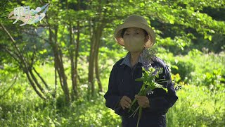 里山ソムリエ～森に暮らす～　 前編