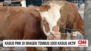 Kasus PMK di Sragen Tembus 1000 Kasus Aktif