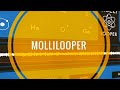 Mollilabs MolliLooper | Spoken Walkthrough (See Pinned Comment)