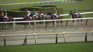 フローラS(GⅡ) 現地 レースを終えて引き上げる各馬 勝ったゴールデンハインドの菅原明良騎手は他の騎手と笑顔で話す姿も 2023/4/23 フローラステークス