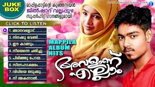 അവളാണ് എല്ലാം || Jilshad Vallapuzha Hit Mappila Pattukal | Mappila Album Songs New 2016