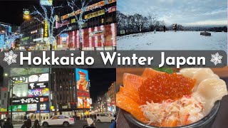 Hokkaido Nijo Market | Mount Moiwa | Susukino | December Winter Snow Japan | 北海道二条市场，藻岩山缆车，札幌博野 [4K]