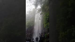 bayyaram waterfall #water #waterfall #trending #shorts #bayyaram #telugu #viral