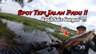 SPOT TEPI JALAN PADU HASIL SAIZ GORGON !! CASTING HARUAN KLIA SPOT HEAVY COVER!!!