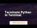 terminate python in terminal